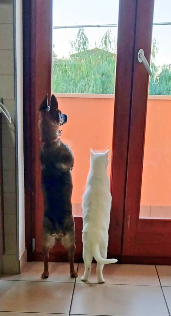 Coppie di fatto a casa.