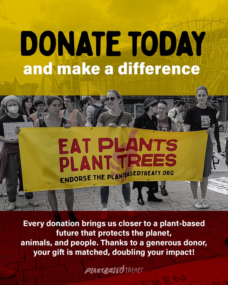 Your donation has DOUBLE the power! ✨ 

Thanks to a generous matching donor, every contribution you make will be doubled—meaning twice the impact for animals, people, and the planet. 

Plant Based Treaty is working globally to push for a shift away from destructive animal
