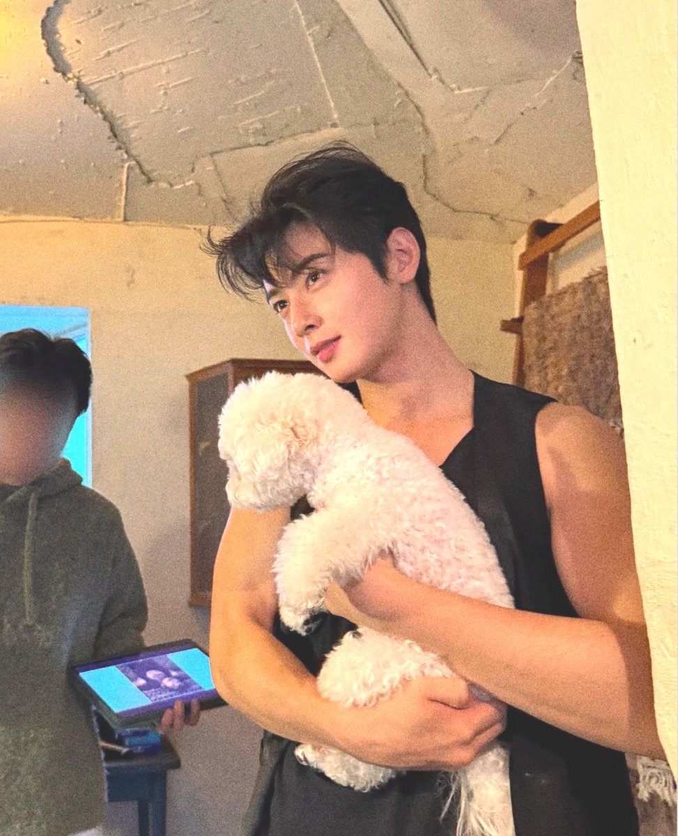 the girl                    vs.                 her type