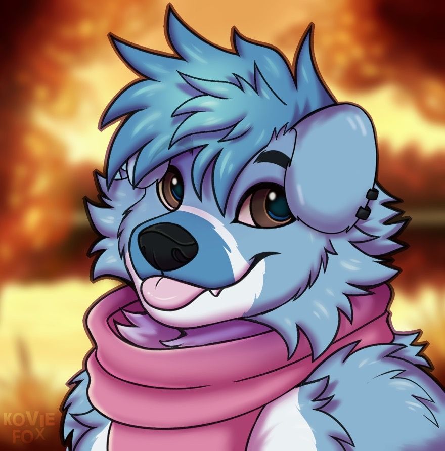 PupRayne's tweet photo. And the last few little pieces I have of Rayne :3 #Furry #FurryArt https://t.co/Vl8norMfGt