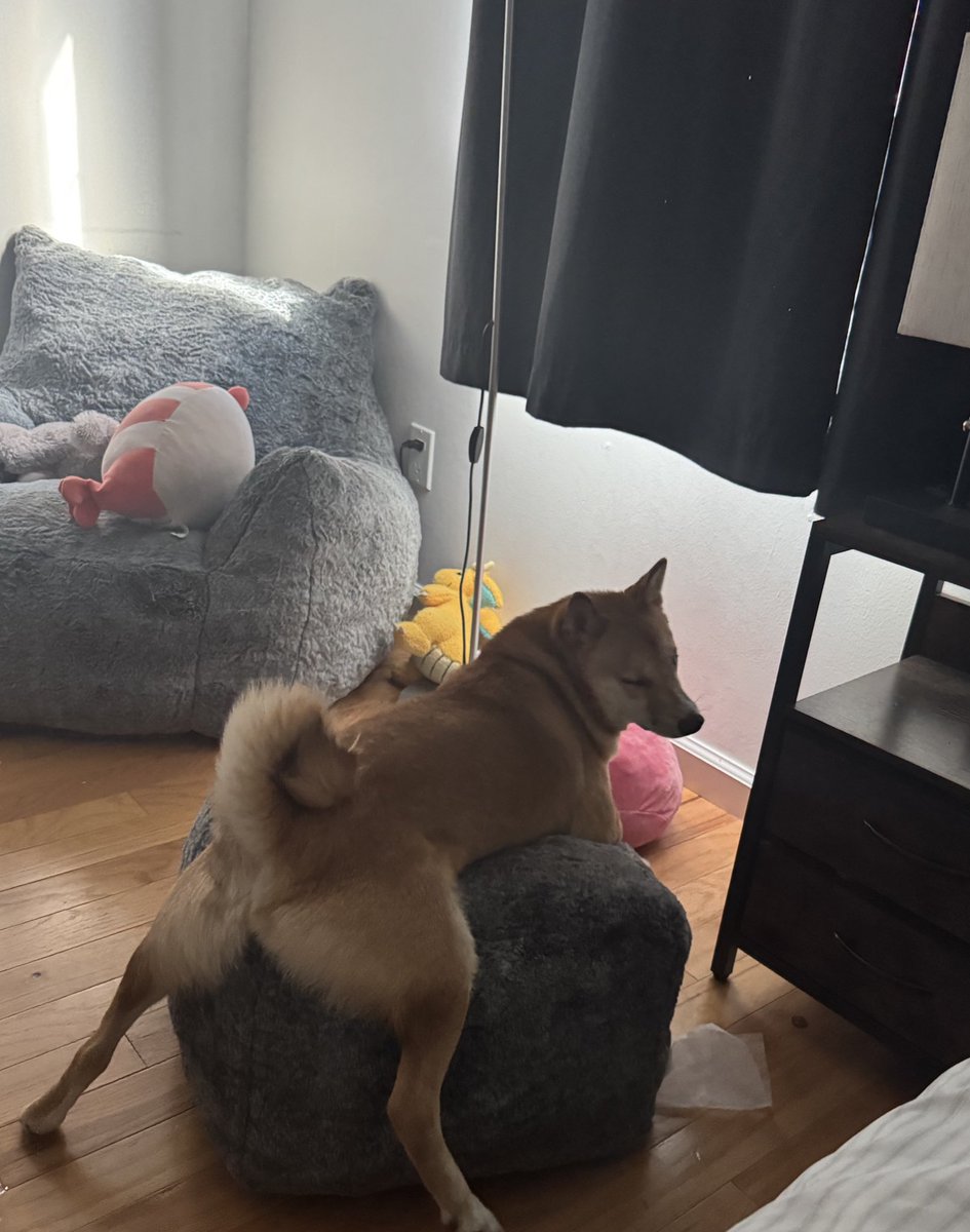 Johnny Wu tweet media