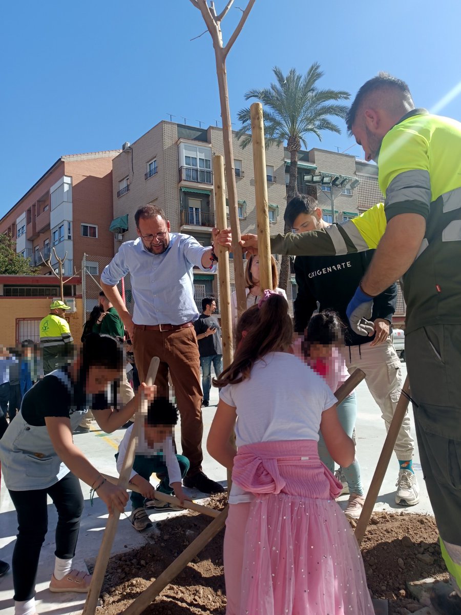💚 15 moreras son ya parte de la 'familia verde' del Colegio Nuestra Señora del Carmen (Murcia).

🌳 Una iniciativa enmarcada dentro del Plan Foresta llevada a cabo por <a href="/AytoMurcia/">Ayuntamiento de Murcia</a> <a href="/Ppguillenparra/">Pepe Guillén Parra</a> y <a href="/AOxigenarte/">Asociación OxigenArte</a> .

🧑‍🌾 Seguimos apostando por crear espacios de vida

#STV #ActúaSM