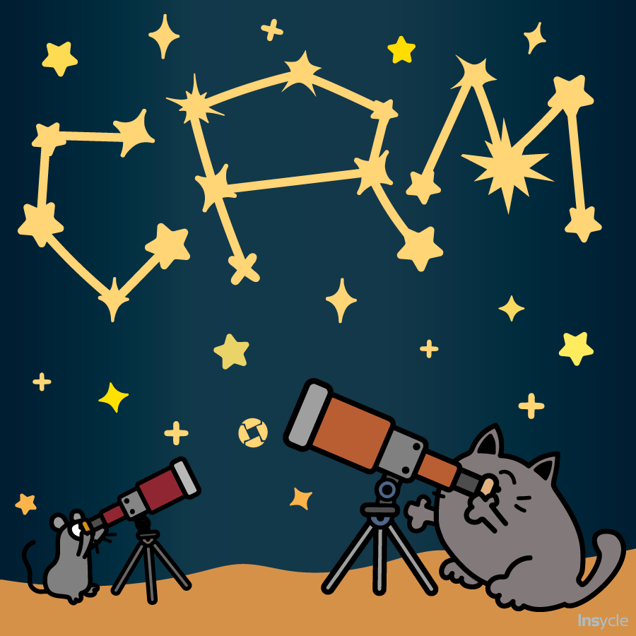 insycle's tweet image. There's a new constellation in the sky tonight. If the conditions are perfect, you might just see it.
CRM optimization done right? That's @insycle.
#datadeduplication #dataenrichment #CRMoptimization #sales #marketing #datahygiene #automation #workflows #hubspot