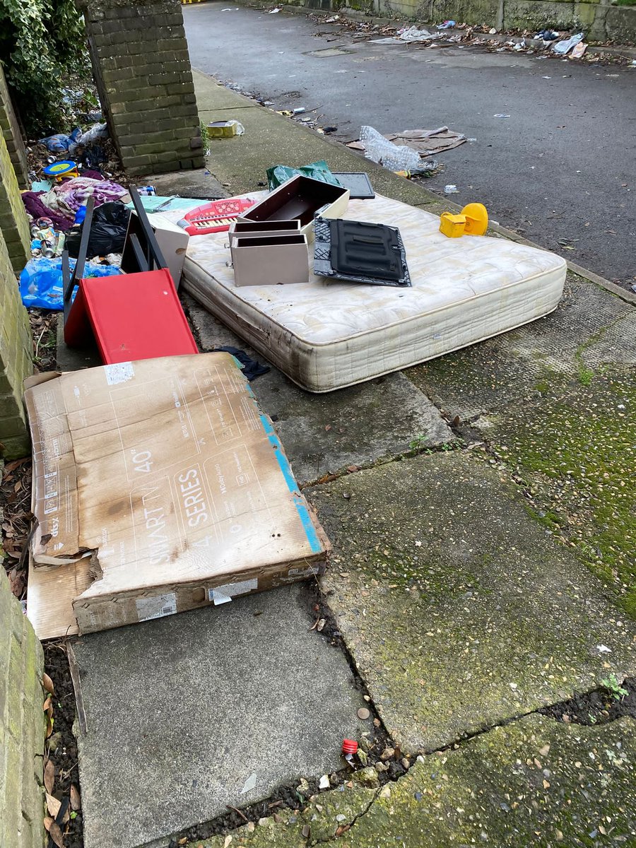 Timbercroft Resident 🌱 tweet media