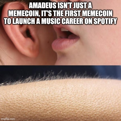 AMADEUS tweet media