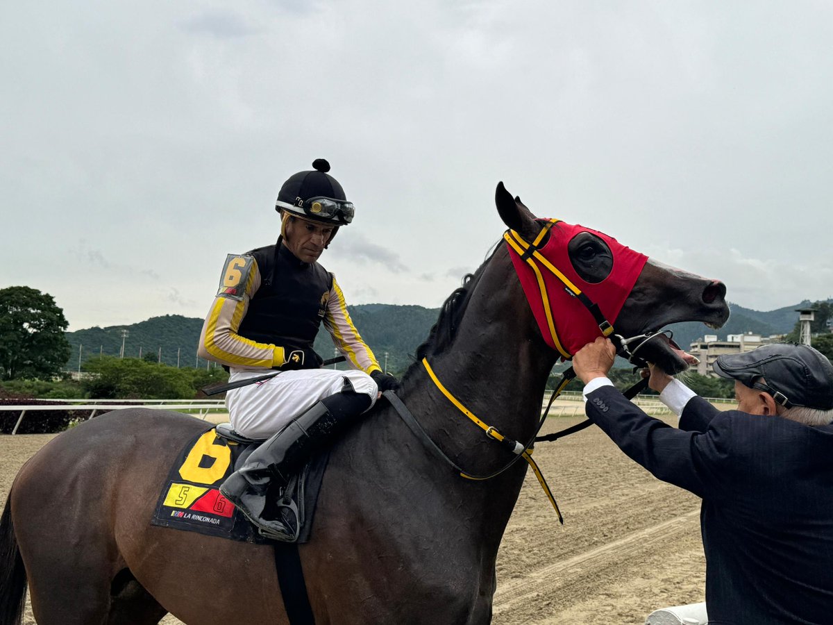 #Hipismo | El jinete Jaime Lugo reaparece luego de 5 meses tras sufrir una caída con McGregor. 

Va este domingo 23-2 en La Rinconada con los ejemplares Potenciada, El De Will y Macuto. Foto: INH. 🏇🇻🇪