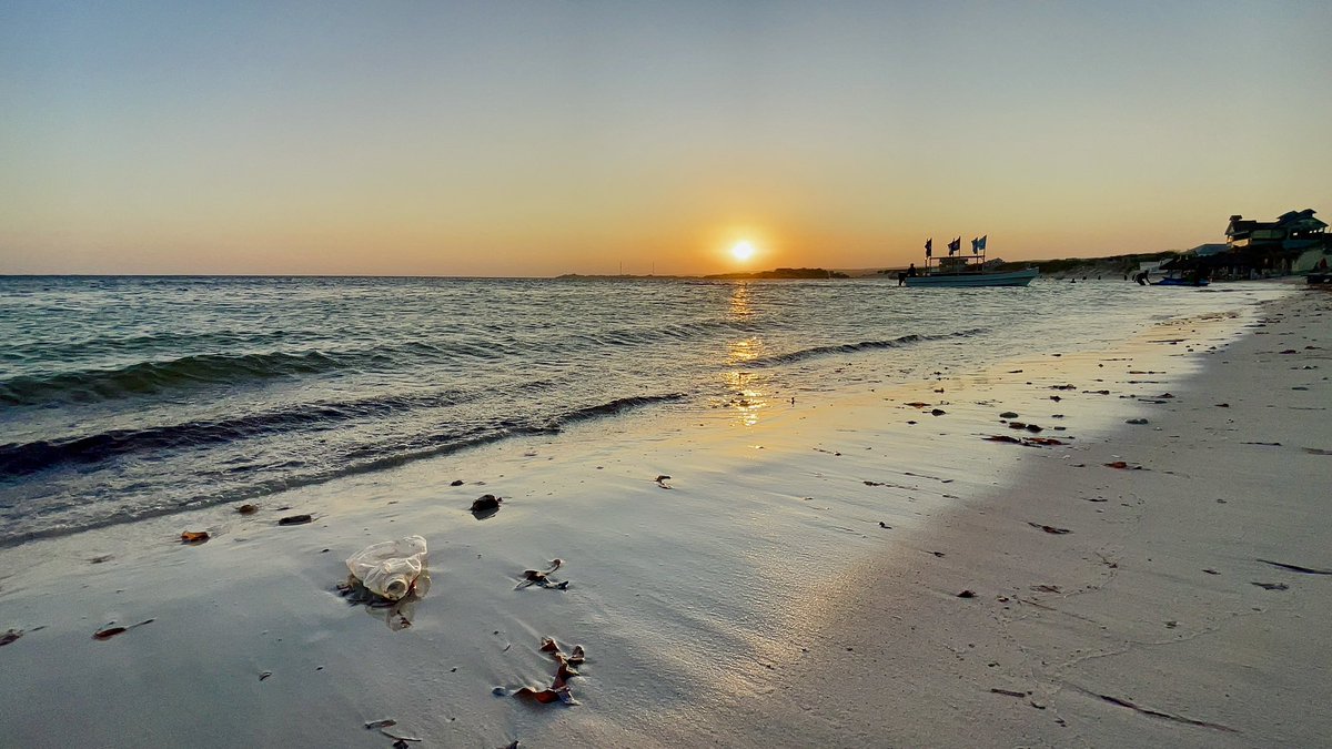 🌍 To protect our planet &amp; ecosystems, Som gov’ MUST regulate plastic pollution! 🚫 Ban single-use plastics, promote sustainable alternatives, &amp; hold businesses accountable. 🌱 Let’s invest in innovation, recycling, &amp; global cooperation for a cleaner future. #BeatPlasticPollution