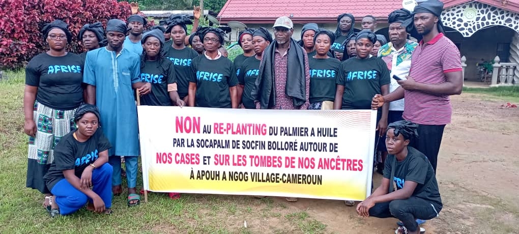 oak_institute's tweet photo. 39 Ngos call for #Bollore’s #Socfin to provide justice to the villagers of Apouh, Cameroon whose lands & lives are affected by #oilpalm plantations.
Return customary land & end criminalization of villagers now! https://t.co/1IhqSTJbTI