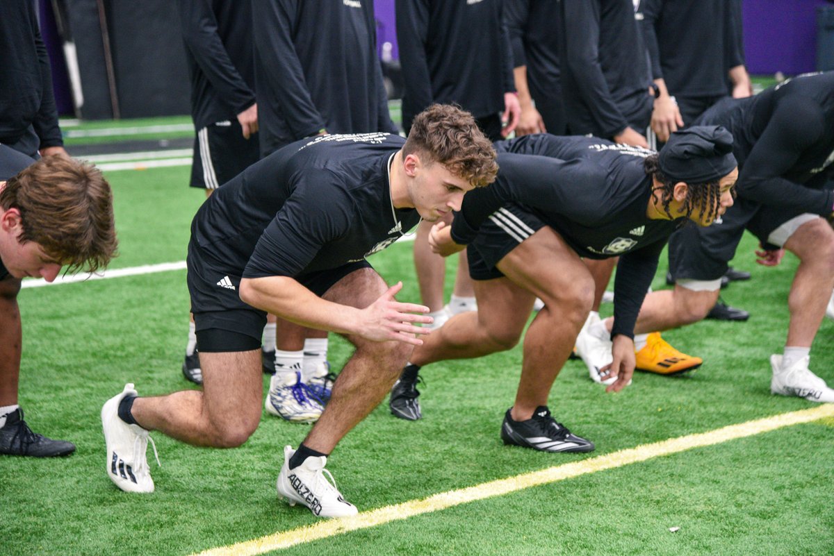 Holy Cross Football tweet media