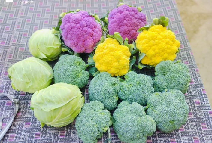 ManjuAshaHmh's tweet image. Good morning all friends 🌹🌹