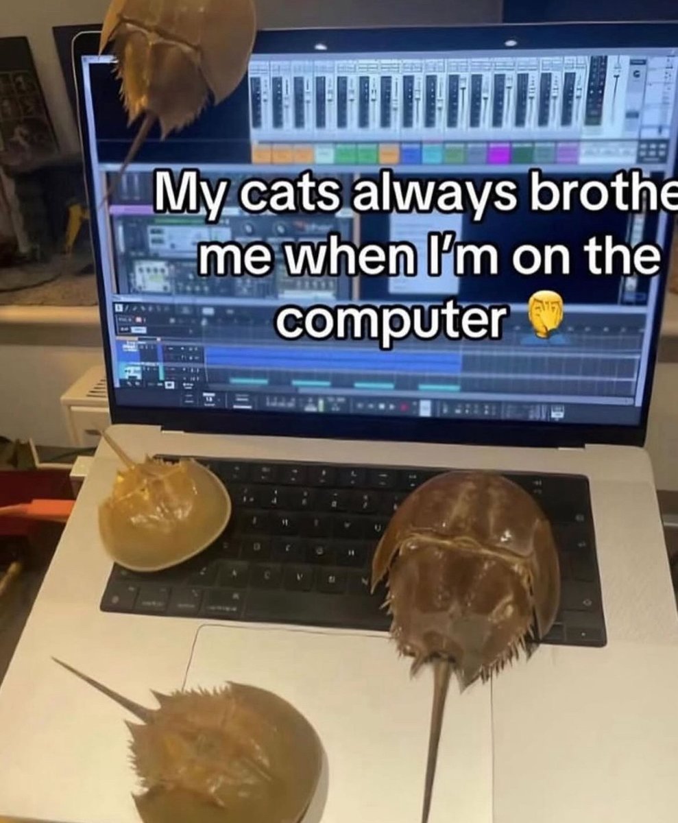 ShitpostGate's tweet photo. https://t.co/4dwVYuKzBE