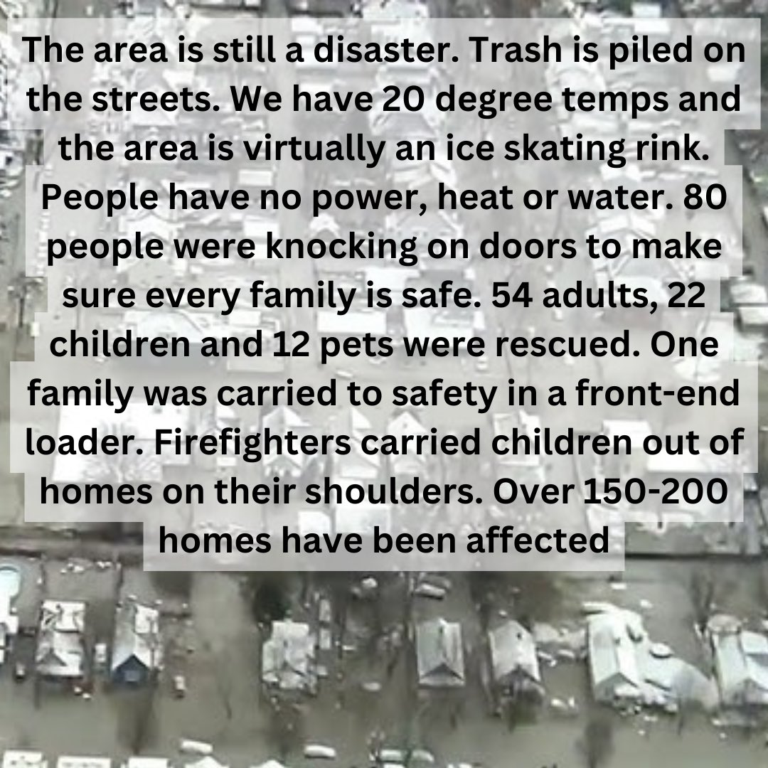 又SafeCampD 𓋹 tweet media