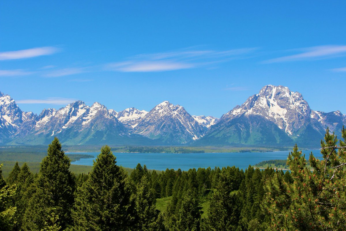 Mike Anthony tweet media