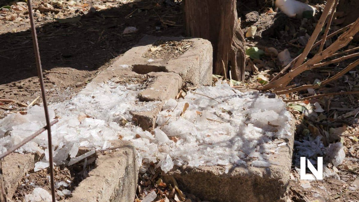 Pur0Culichi's tweet image. LE PEGAN A LA MAYISA🤠🤠🤠
Fuerte Golpe al Narco Desmantelan red de #laboratorios y aseguran más de 1, 500 millones de pesos de #metanfetamina en Higueras de Abuya, al sur de la Capital #sinaloense. #CirculaEnRedes #Sinaloa #culiacan #PaquitaLaDelBarrio #mayitos