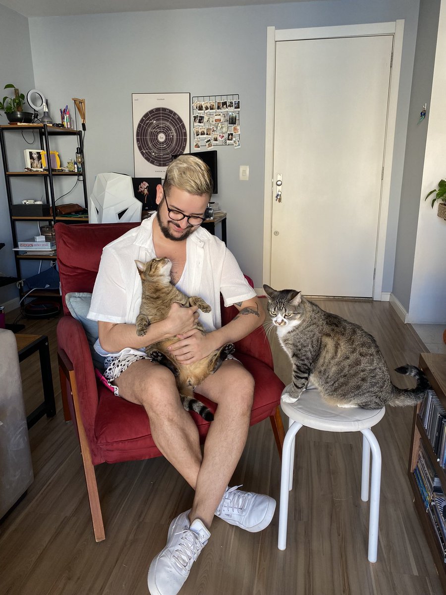 portalnon's tweet photo. e pra comemorar o dia do gato: conheçam milanesa e nugget (mila e nu pros íntimos) ajudem a divulgar a non pra eu ter dinheiro pra comprar ração pra eles!!! bjs do jota #pravariar #diatv @diaestudio https://t.co/1TKuUOHNJE