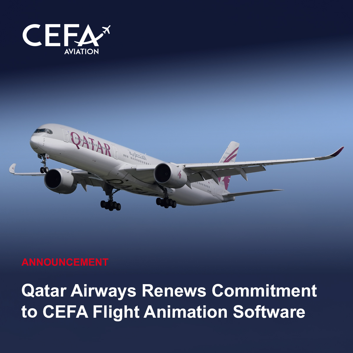 CEFA Aviation tweet media