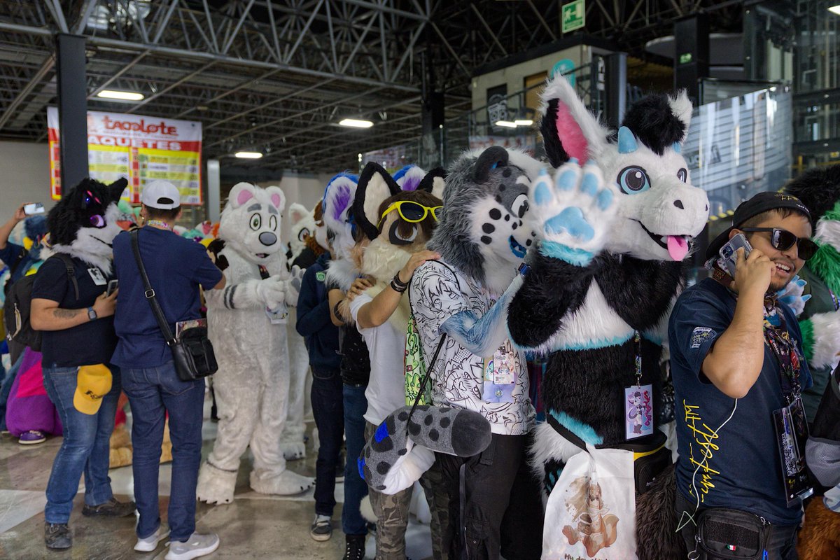 Rakzorg's tweet image. At Confuror, the vibrant furry community comes alive! 🎉 Enthusiastic participants proudly pose for a photo during the lively walk parade. Their creativity and passion shine through!

#FurryFandom #ParadeVibes #CosplayMagic #FurryCommunity #confuror #furry #fursuiting #CatPotion