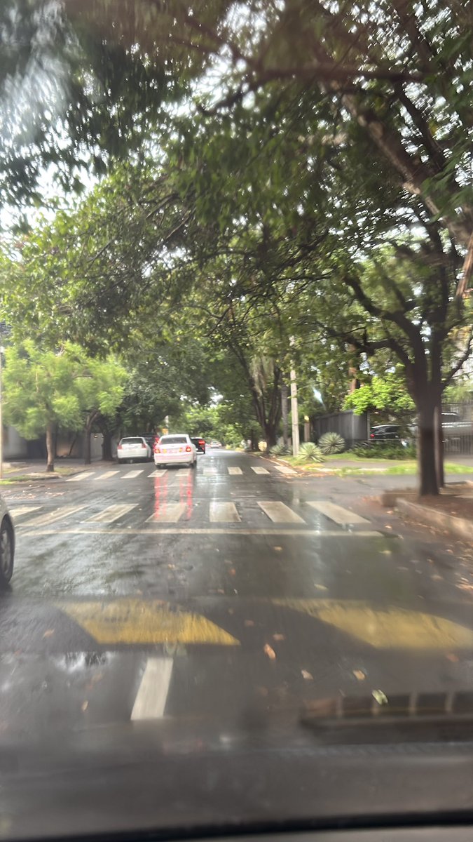 Qué tal la lluvia por Fernando y sanlo