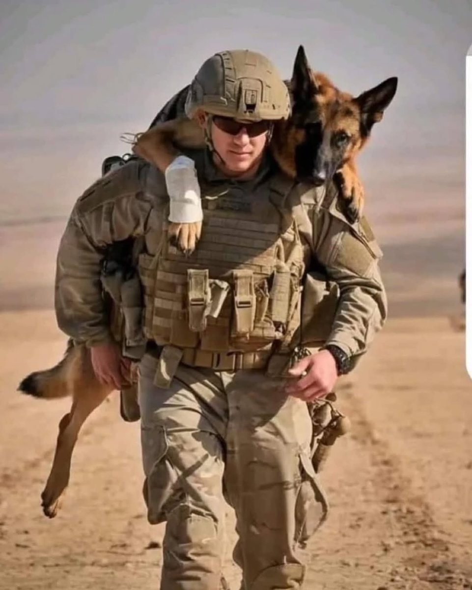 WolfMalca's tweet image. Nur in 🇮🇱

Eine Freundschaft fürs Leben! ❤️❤️❤️
Ein #IDF Oketz-Soldat trägt seinen verwundeten Hund.

 @hanna.dahan.480 
#idf #armydogs #heroes