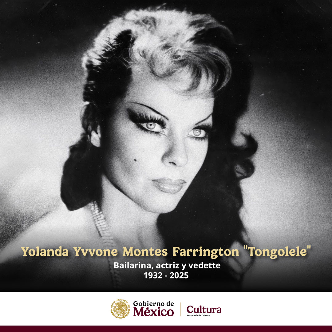cultura_mx's tweet photo. La Secretaría de Cultura del Gobierno de México lamenta el fallecimiento de Yolanda Yvvone Montes Farrington, mejor conocida como “Tongolele”, bailarina, actriz y figura importante en la Época de Oro del cine mexicano.

De raíces mexicanas, hizo su debut en el cine en 1947 con la película "Nocturno de amor" y compartió escena en más de 20 películas con figuras como Germán Valdés "Tin Tan" en "El rey del barrio", y trabajó bajo la dirección de Emilio "El Indio" Fernández. 

Su presencia en el escenario y su estilo único la consolidaron como un referente del entretenimiento en México. Descanse en paz.