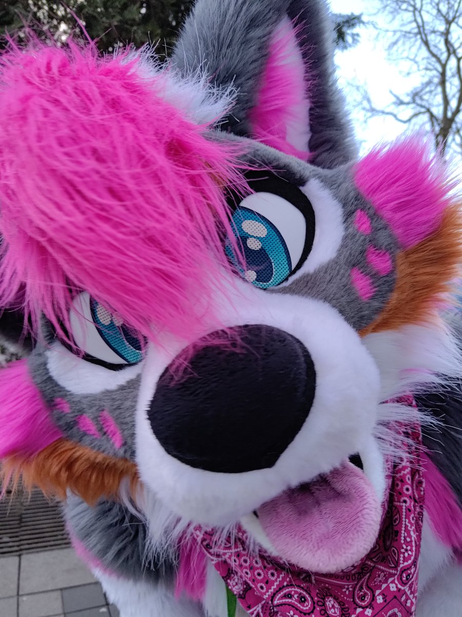 Come and say hi at NFC 2025. Who will I meet there?

📷: <a href="/ShepherdSpicey/">Spicey Shepherd</a>