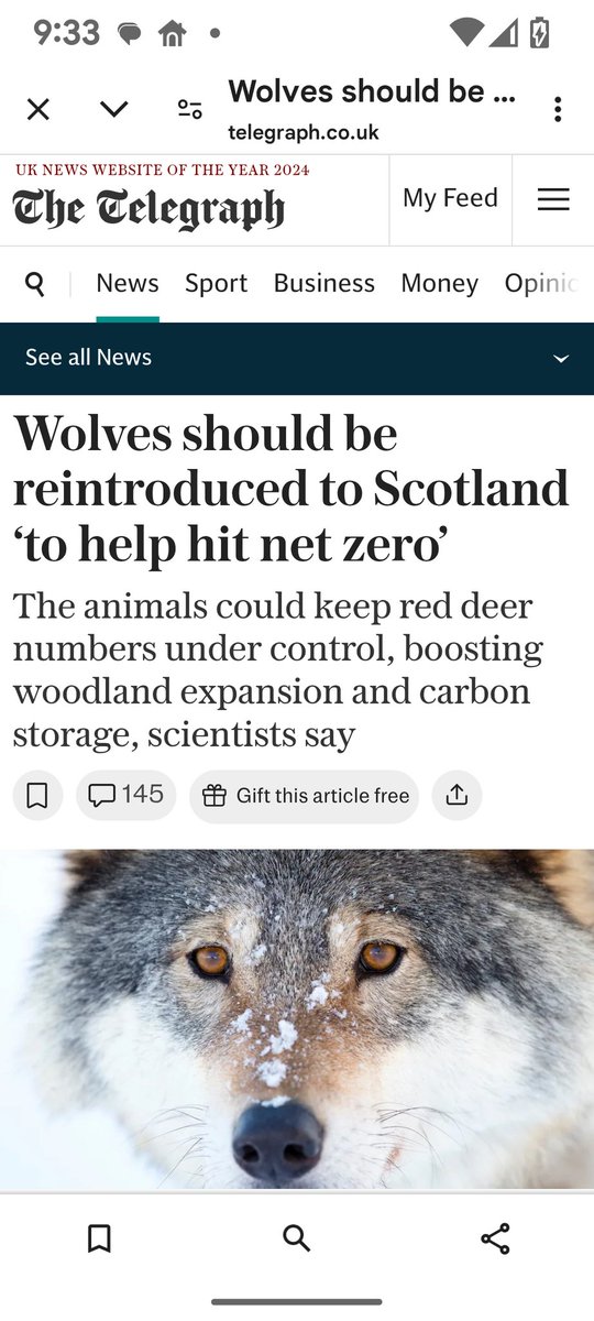 Who the fuck thinks of these stupid things