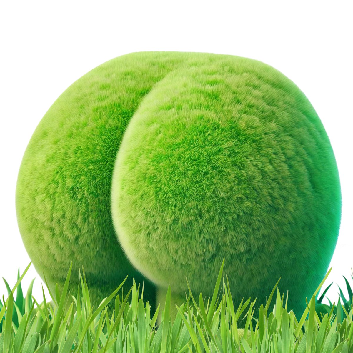 touchsomeass0x's tweet photo. would you touch ass or touch grass? 

DtLQdAcbHFxc3KuzJGBxZ5oJFtCYZ3hKsG9YcBGwpump https://t.co/gGqI7QYXXS