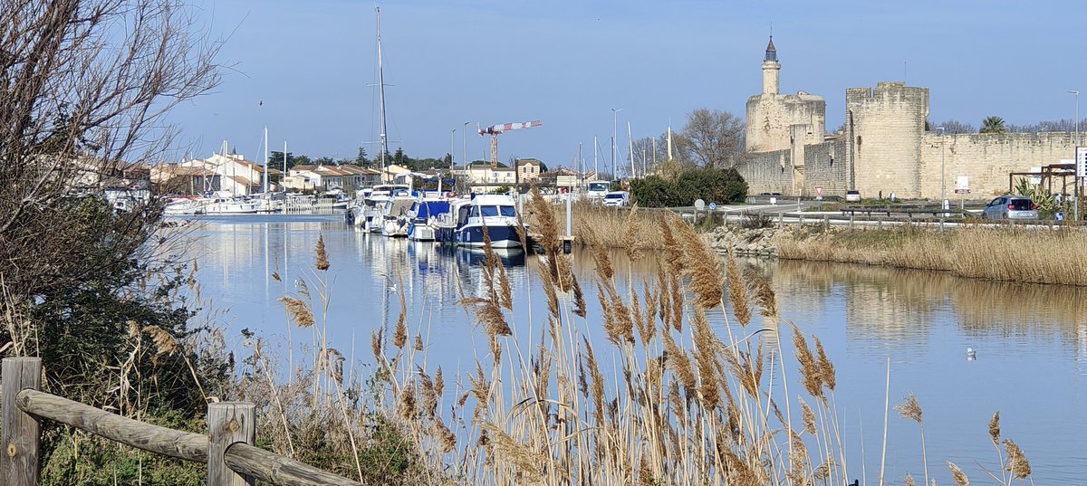 Dave Roe tweet media