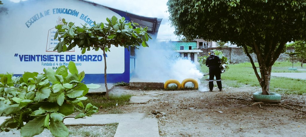 EducacionZ5_Ec's tweet photo. ✅🚜 ¡Cumplimos con la agenda de fumigaciones en varias instituciones educativas del Distrito 09D13 Balzar! 🌿💨
#ElNuevoEcuadorResuelve https://t.co/Uw2STSxjHx