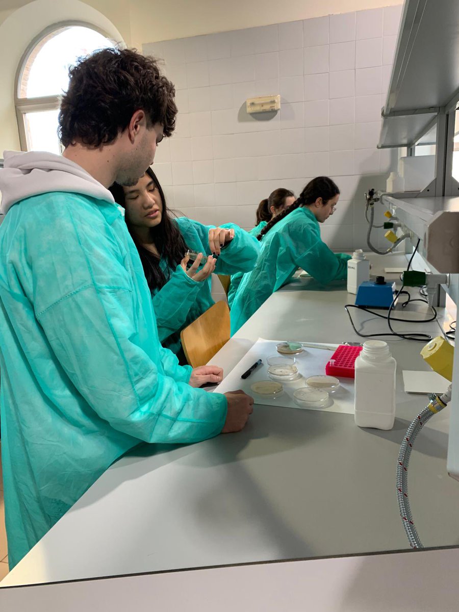 <a href="/MAmbBioquimUCLM/">Facultad CC. Ambientales y Bioquímica - UCLM 🥼🥾</a> <a href="/CienciaGob/">Ministerio de Ciencia, Innovación y Universidades</a> <a href="/FECYT_Ciencia/">FECYT</a> Sesión doble hoy! El IES Juanelo Turriano ha venido a nuestros laboratorios!