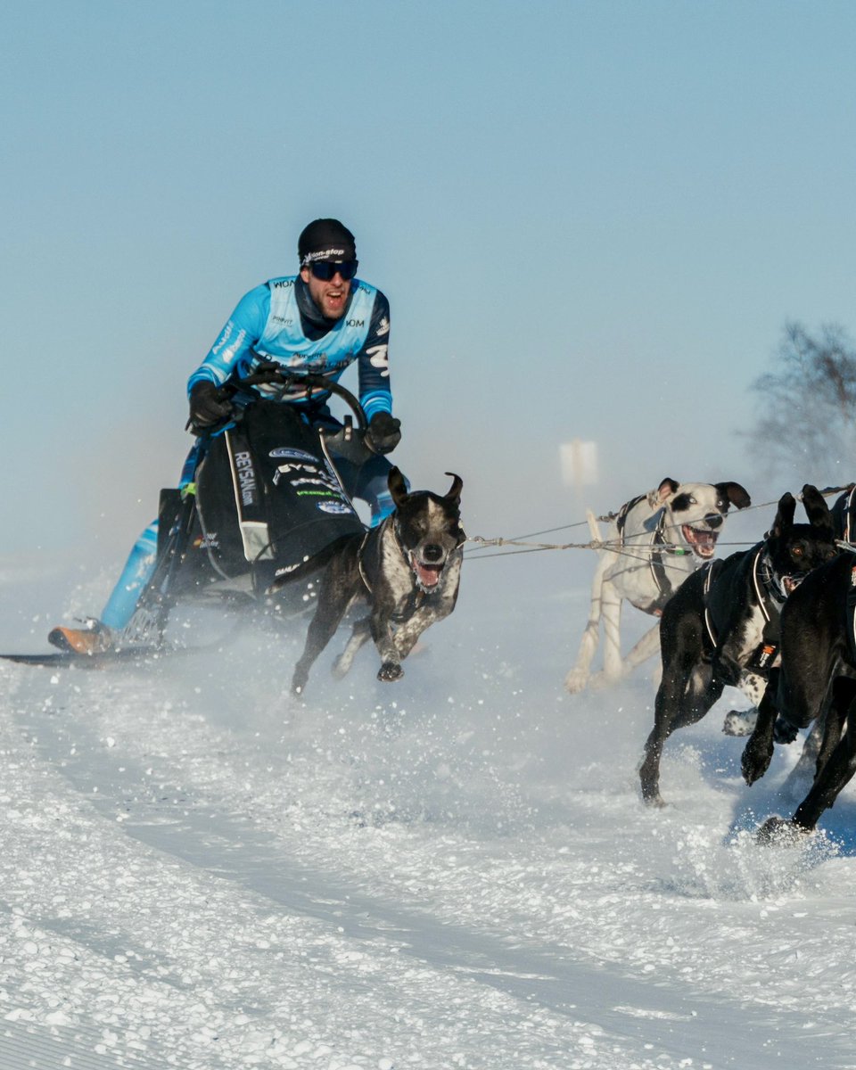 Federacion Deportes de Invierno de Castilla y León tweet media