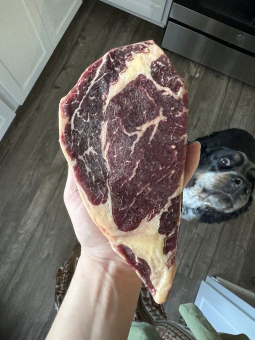 Me and Rusty have the same face rn looking at this ribeye from the farm by me ?? https://t.co/4RZM9v