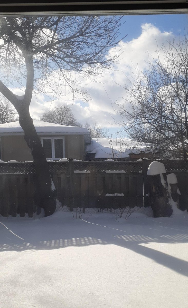 BACKYARD PHOTOS - Great to see the sky on this Family Day, February 17/25.