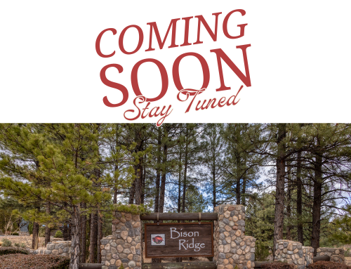 EngagedProp's tweet image. #ShowLowAZ #homeowner #vacation #NatureLovers