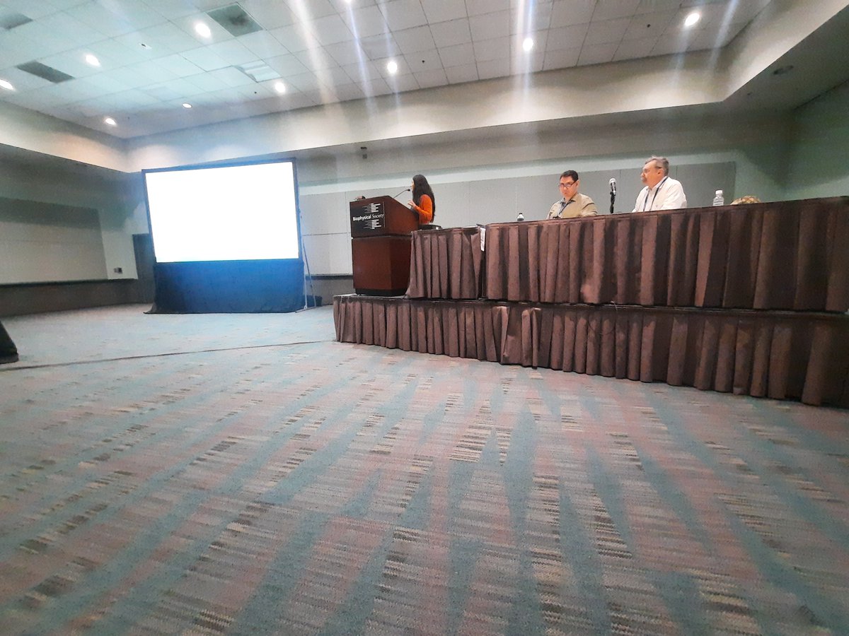 Piere Rodriguez-Aliaga tweet media