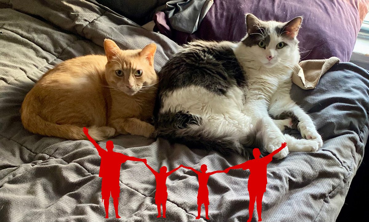 Happy Family Day from me and my brother.
#FamilyDay