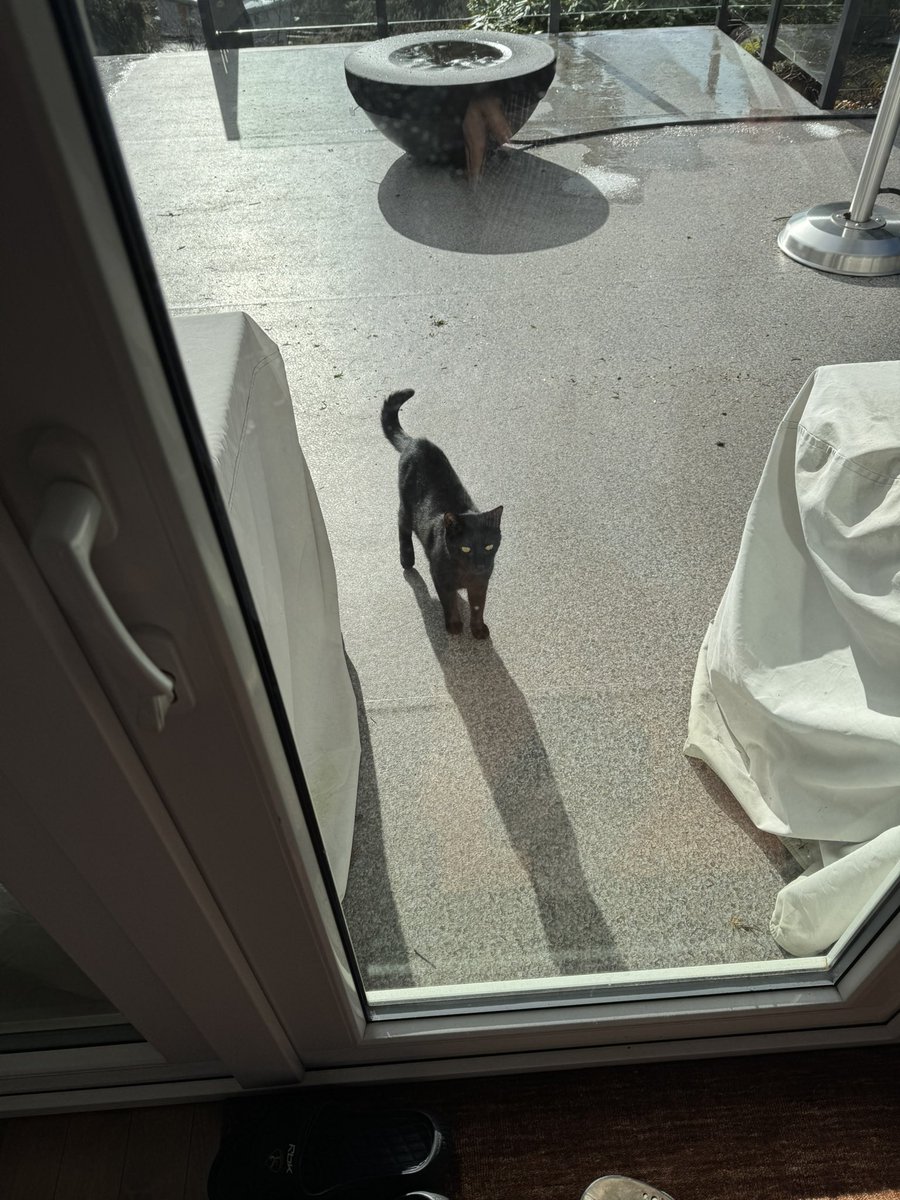 StefanoVolpe29's tweet photo. Wasn’t expecting any visitors 😁 https://t.co/HE61hXvPBq