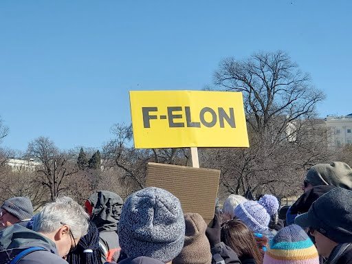 whitemalevoter's tweet photo. seen at the DC #50501 protest today at the National Mall Capitol reflecting pool.

F-Elon!  #FascistTrump

Stop the #trumpmuskCoup https://t.co/alCzp7eD6A