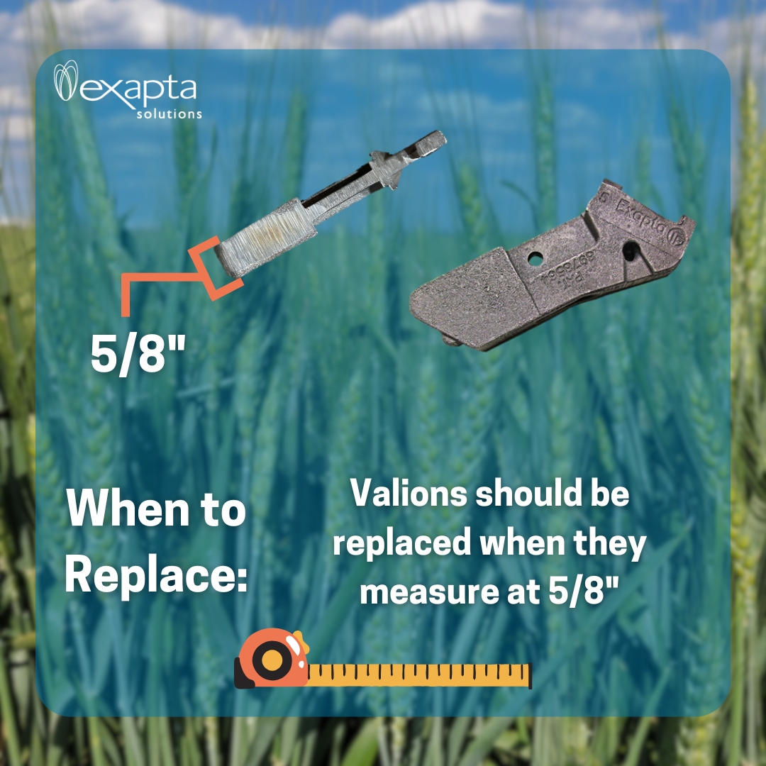 Exapta Solutions tweet media