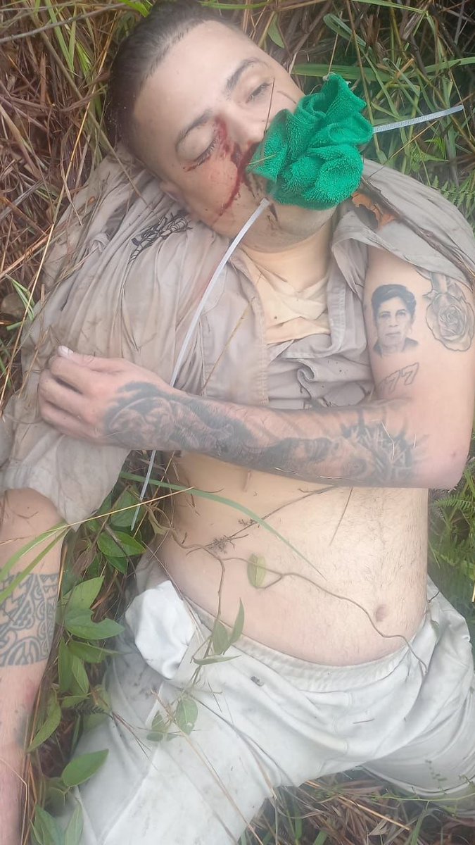 Diariodenarco's tweet photo. El cantante colombiano de música regional mexicana, Zair Guette y su mánager Teddy Vergara, fueron asesinados en la zona rural de Ginebra

NOTA EN EL ENLACE: https://t.co/778KLROEyf https://t.co/FB45MvsHUi