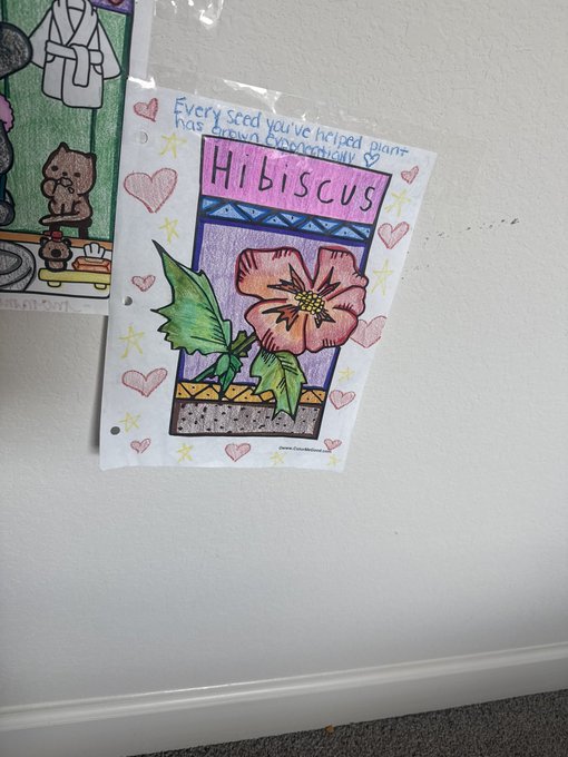 2 pic. Enoch’s coloring (left)
Mine (right)
? https://t.co/6UoT9n8J5m