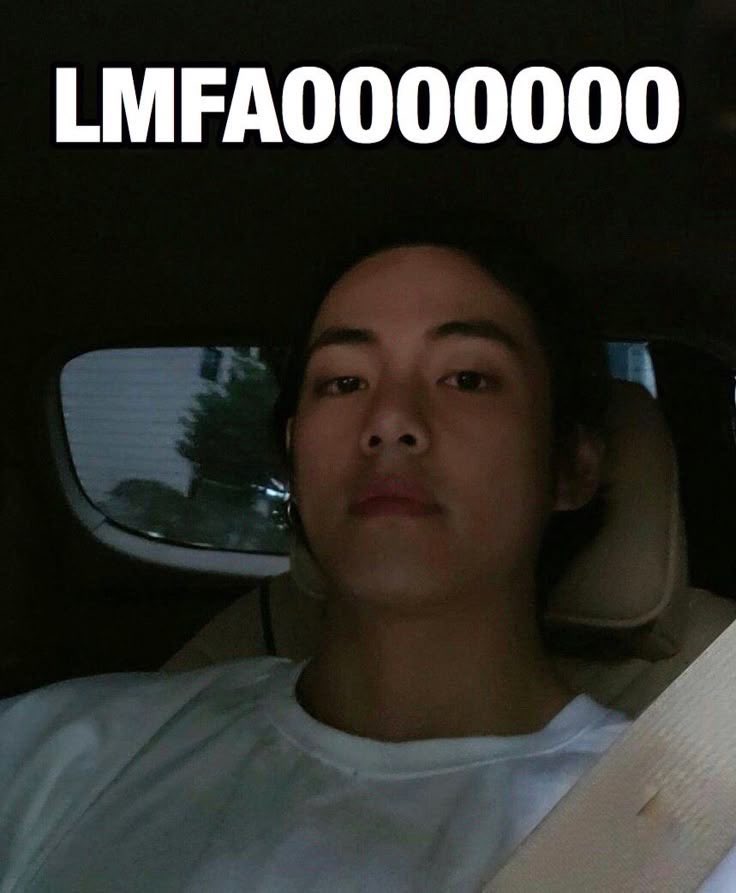 Applepi 🍄 tweet media