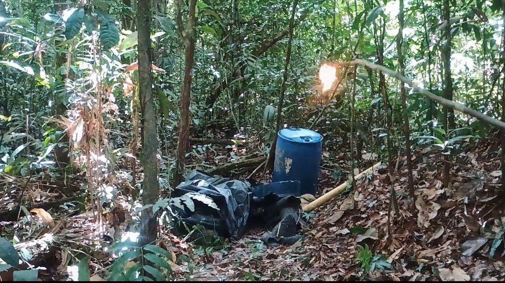 GJ. Domingo Hernández Lárez tweet media