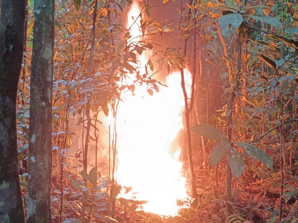 GJ. Domingo Hernández Lárez tweet media