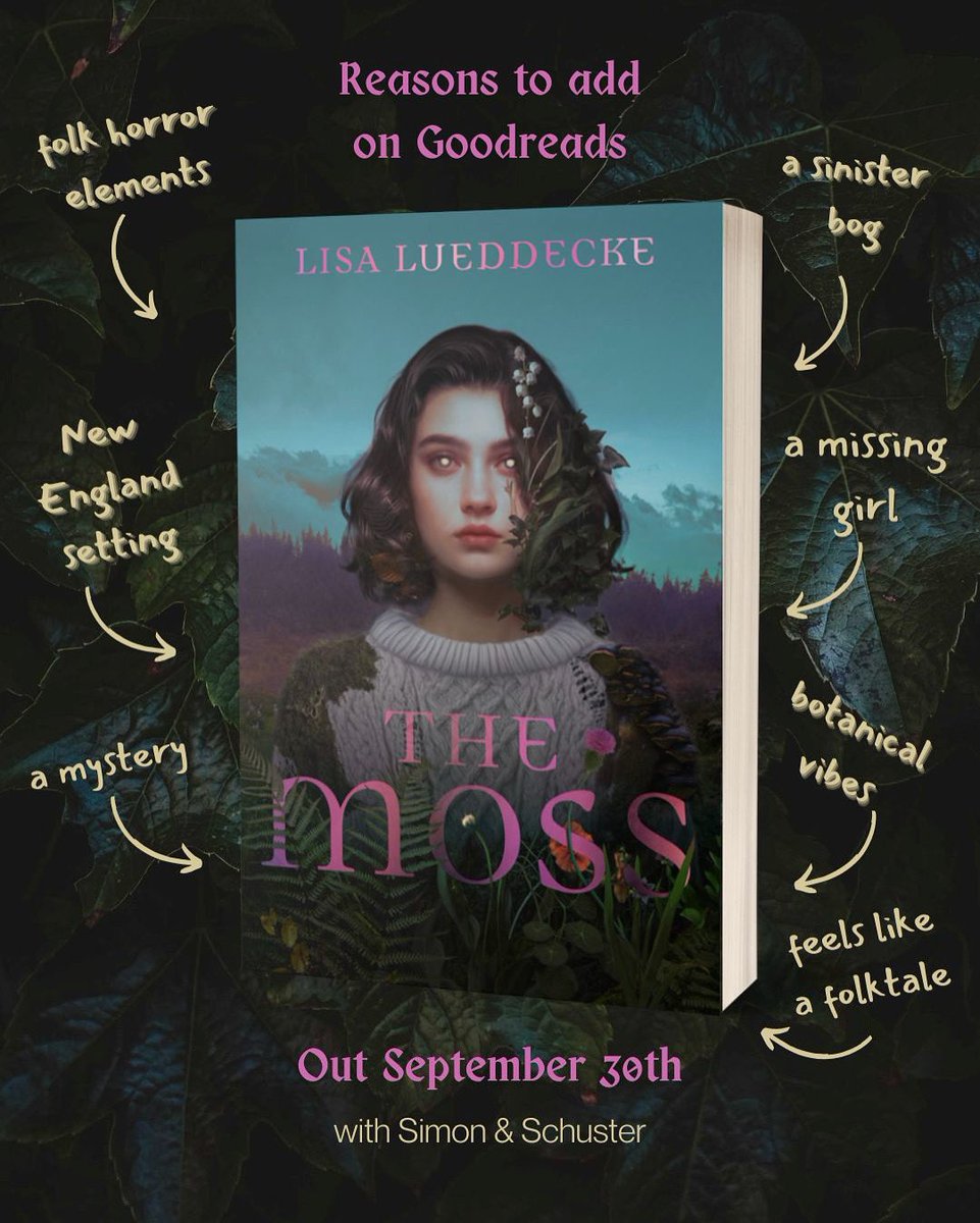 Lisa Lueddecke tweet media