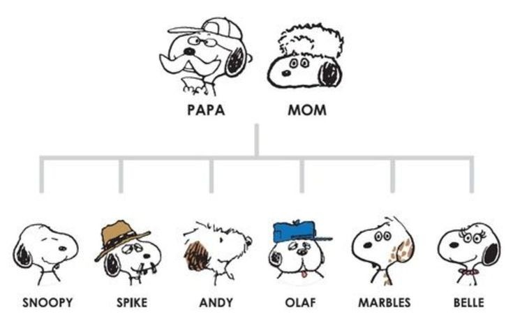 Snoopy family 🐾💕