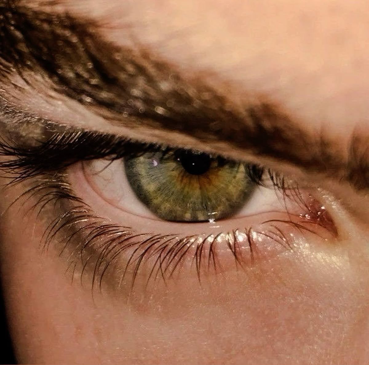 𝐍𝐎𝐓𝐓. tweet media