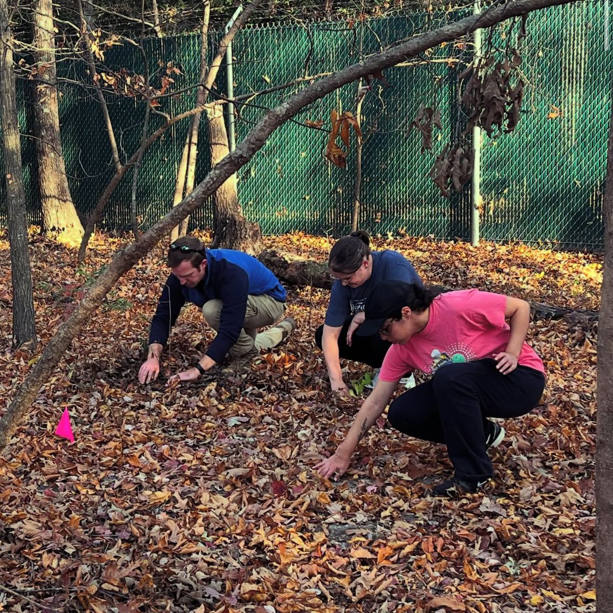 Mason Impact tweet media