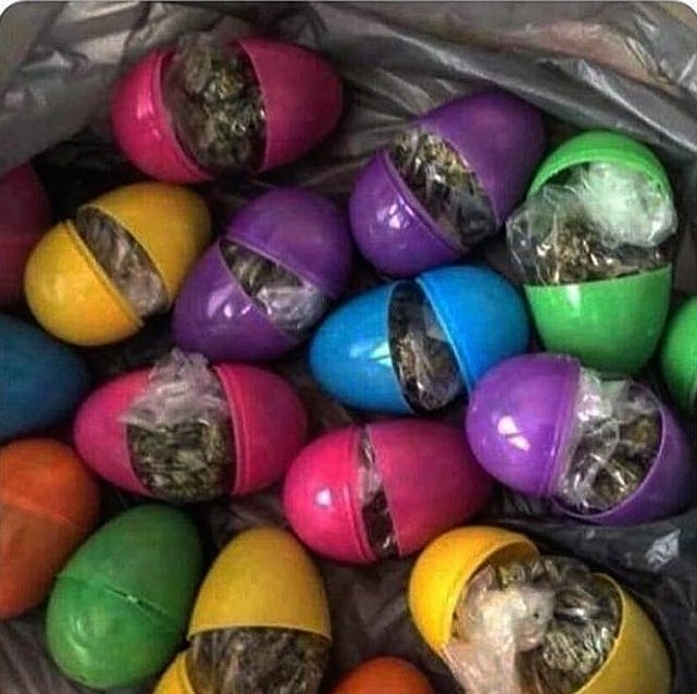 coelhinho da pascoa o que trazes pra mim