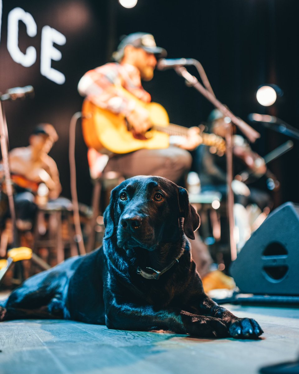 ChaseRiceMusic's tweet image. Feels really damn good getting back into singing songs live. Played the I Hate Cowboys record and the Go Down Singin record at Chiefs Thursday and Friday. If I'm being honest with y'all playing acoustic was the most fun I've had in a long time. Probably gonna do more stuff like…